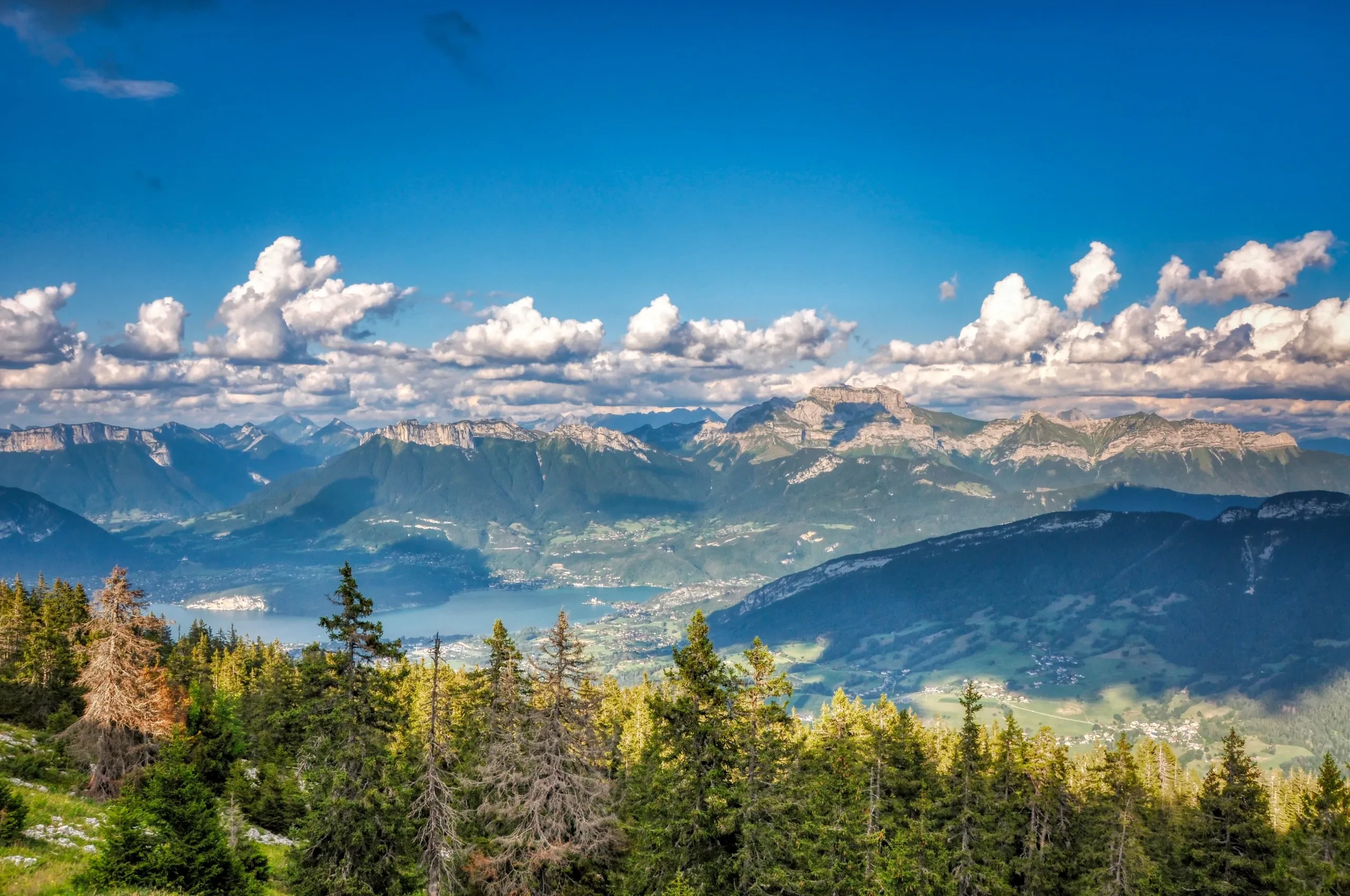 Paysage alpin avec montagnes et forêt verdoyante, Hôtel à Doussard - L'Arcalod